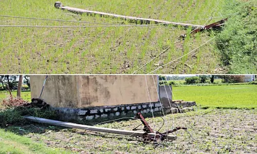 அருங்குளம் ஊராட்சியில் சூறைக்காற்றில் சாய்ந்த மின்கம்பங்களை சீரமைக்காததால் விவசாயிகள் அவதி