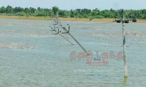 ஏரியில் சாய்ந்து கிடக்கும் மின்கம்பங்கள்