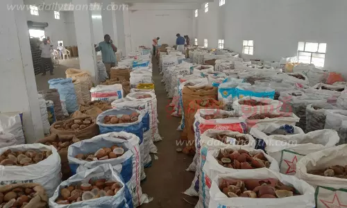 பரமத்திவேலூரில் ரூ.10.86 லட்சத்துக்கு தேங்காய் பருப்பு ஏலம்