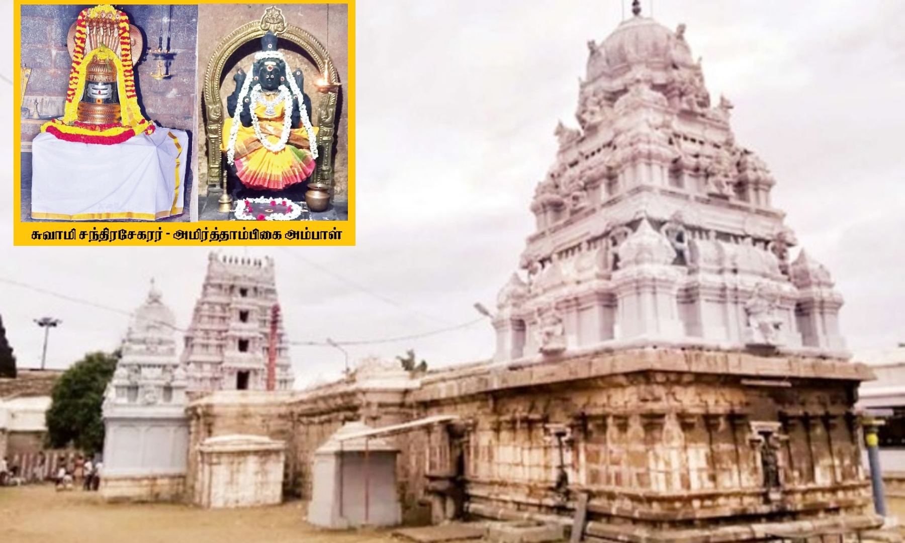 கலைகளில் சாதிக்க வைக்கும் காமத்தூர் சந்திரசேகரர்