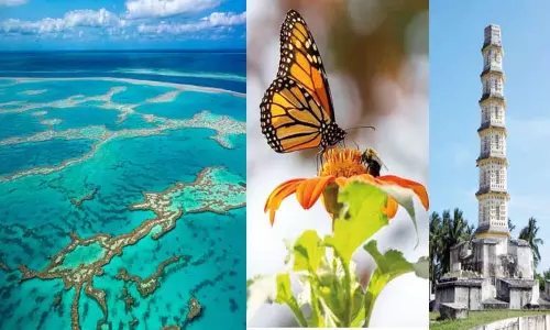 மிகப்பெரிய பவளப்பாறை..!