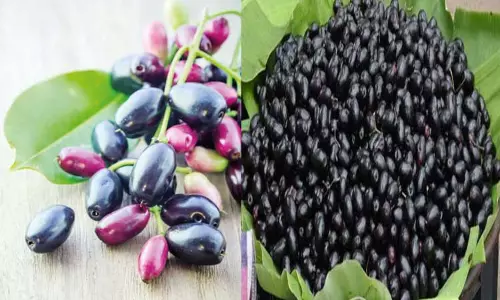 உடலுக்கு நல்லது செய்யும் நாவல் பழங்கள்...!