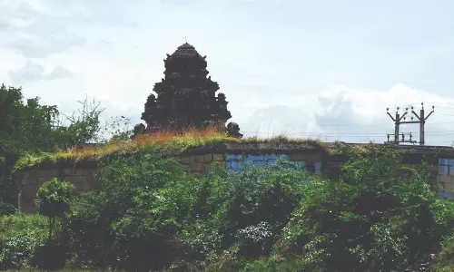 கொழுமத்தில் 1000 ஆண்டுகள் பழமையான சிதிலமடைந்த கரிவரதராஜ பெருமாள் கோவிலை புனரமைக்க திட்டமிடப்பட்டுள்ளது. இது பக்தர்களை மகிழ்ச்சியடைய செய்துள்ளது.