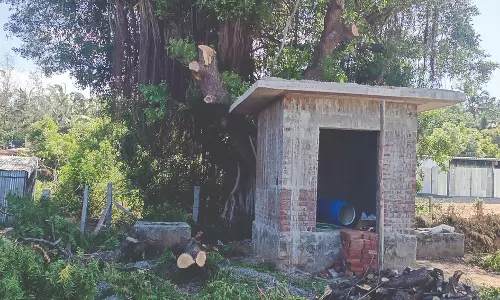 மடத்துக்குளம் அருகே அனுமதியில்லாமல் வெட்டப்பட்ட மரத்தின் கிளைகள் மின் கம்பியின் மீது விழுந்ததால் மின் கம்பம் உடைந்தது.