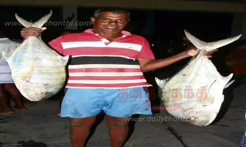 விசைப்படகு மீனவர்கள் வலையில் அதிக அளவில் சிக்கிய மீன்கள்; கேரள வியாபாரிகளும் குவிந்ததால் விலை உயர்ந்தது