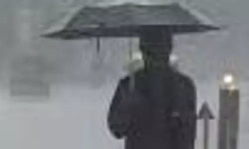 பரவலாக மழை