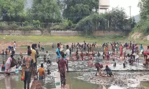 சிங்கம்புணரி அருகே மீன்பிடித் திருவிழா சிங்கம்புணரி அருகே மீன்பிடித் திருவிழா