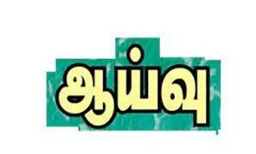 ஊராட்சிகளில் உதவி இயக்குனர் ஆய்வு