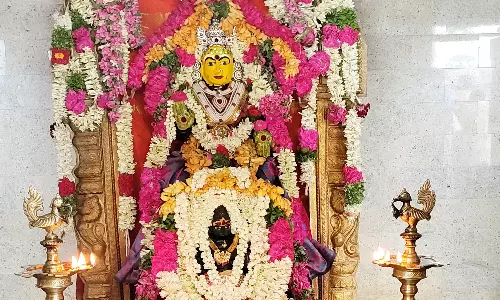 பகவதி அம்மனுக்கு சிறப்பு அபிஷேகம்