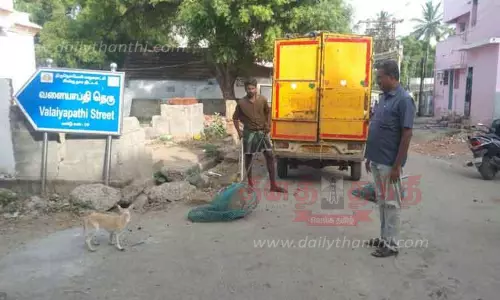 சாலையில் சுற்றித்திரிந்த 24 தெருநாய்கள் பிடிபட்டன