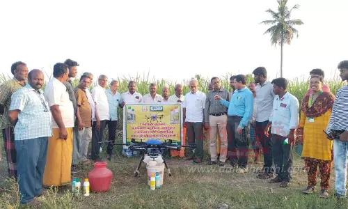 டிரோன் மூலம் நானோ யூரியா உரம் தெளிப்பது குறித்து விவசாயிகளுக்கு செயல்விளக்க முகாம்