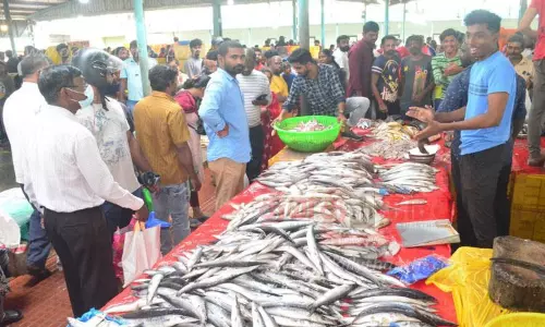 உக்கடம் மார்க்கெட்டில் மீன் வாங்க குவிந்த கூட்டம்