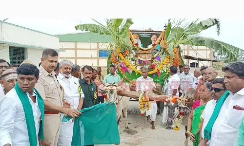 திருத்துறைப்பூண்டியில் நெல் திருவிழா