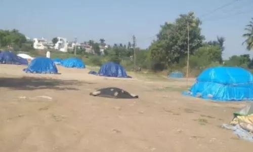 தியாகதுருகம் அருகே 18 நாட்களுக்கு மேலாக நேரடி கொள்முதல் நிலையத்தில் எடைபோடாமல் குவிந்து கிடக்கும் நெல் மூட்டைகள்; மழை நீடிப்பதால் நஷ்டம் ஏற்படுமென விவசாயிகள் கவலை