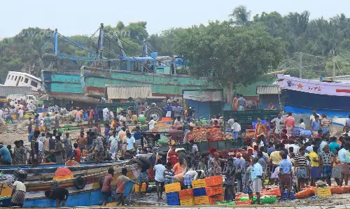 கூடை, கூடையாக மீன்களுடன் கரை திரும்பிய ராமேசுவரம் மீனவர்கள்