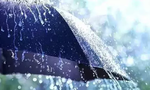 அய்யம்பேட்டை, பட்டுக்கோட்டை பகுதிகளில் சாரல் மழை