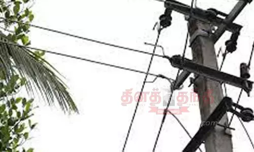 மின் ஒயர் மீது தென்னை மரக்கிளை விழுந்ததால் மின்தடை