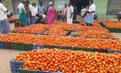 தக்காளி விலை கிடு, கிடு உயர்வு