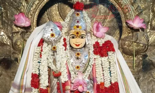 பழனி ஆண்டவர் கோவிலில் சிறப்பு வழிபாடு