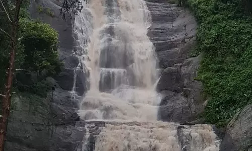 கொடைக்கானலில் கொட்டித்தீர்த்த கனமழை; அருவிகளில் வெள்ளப்பெருக்கு கொடைக்கானலில் கொட்டித்தீர்த்த கனமழை; அருவிகளில் வெள்ளப்பெருக்கு