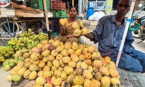 ராமநாதபுரத்தில் மாம்பழ விற்பனை விறுவிறுப்பு