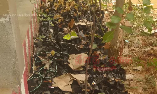 பள்ளி, அரசு அலுவலகங்களில் வீணாகும் மரக்கன்றுகள்