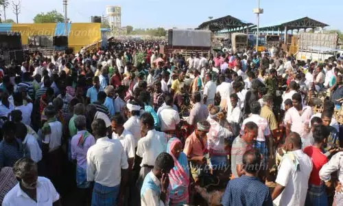 மேலப்பாளையம் சந்தையில் ரூ.4 கோடிக்கு ஆடுகள் விற்பனை