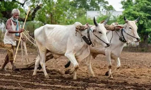 இயற்கை விவசாயத்தை ஊக்குவிக்க வேண்டும்