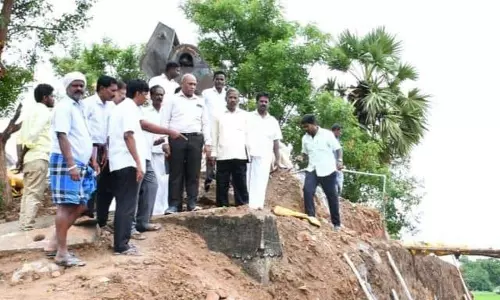 செஞ்சி ஒன்றியத்தில் வளர்ச்சி திட்ட பணிகளை கலெக்டா் பழனி ஆய்வு