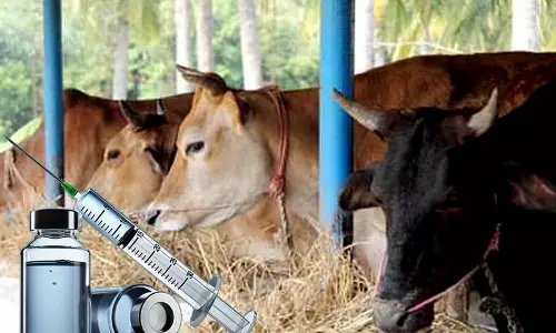 மாபெரும் சிறப்பு கால்நடை மருத்துவ முகாம்