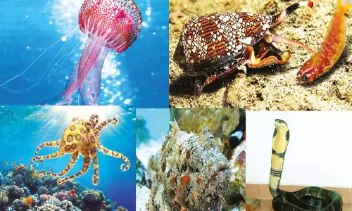 கொடிய விஷம் கொண்ட விலங்கினங்கள் கொடிய விஷம் கொண்ட விலங்கினங்கள்