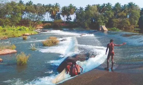 அமராவதி ஆற்றின் குறுக்கே மடத்துக்குளம் அருகே அமைந்துள்ள பொன்னிகாட்டுத்துறை தடுப்பணையை சுற்றுலா தலமாக மேம்படுத்த வேண்டும் என்ற எதிர்பார்ப்பு அதிகரித்துள்ளது.