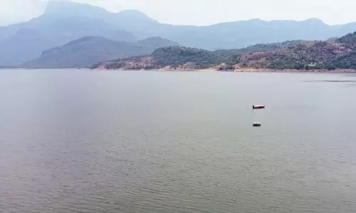 நீர்ப்பிடிப்பு பகுதியில் மழை இல்லாத நிலையில் அமராவதி அணையில் இருந்து உயிர்தண்ணீர் திறந்து விடப்படுமா? என்று விவசாயிகள் எதிர்பார்ப்பில் உள்ளனர்.