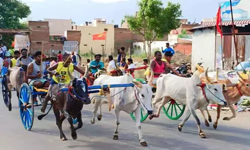 இரட்டை மாட்டு வண்டி பந்தயம்