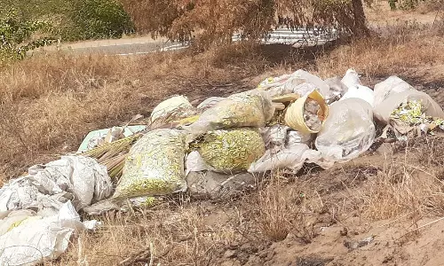 சாலையோரம் கொட்டப்படும்பிளாஸ்டிக் குப்பைகள்