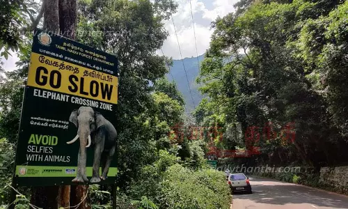 கல்லார் பழப்பண்ணைக்கு வேறு இடம்தேடும் பணி தீவிரம்