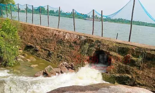 ஏரியை உடைத்து தண்ணீரை வெளியேற்றும் மீன் வளர்க்கும் குத்தகைதாரர்கள்