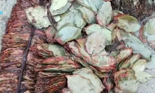 கரை ஒதுங்கிய பீடி இலை பண்டல்கள்