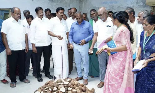 கொப்பரை தேங்காய் கொள்முதல் கொப்பரை தேங்காய் கொள்முதல்