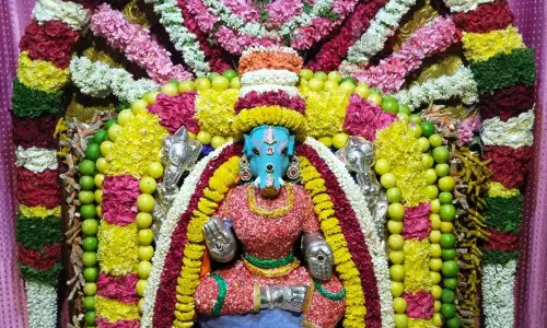 வளர்பிறை பஞ்சமியையொட்டி வராகி அம்மன் கோவில்களில் சிறப்பு வழிபாடு வளர்பிறை பஞ்சமியையொட்டி வராகி அம்மன் கோவில்களில் சிறப்பு வழிபாடு