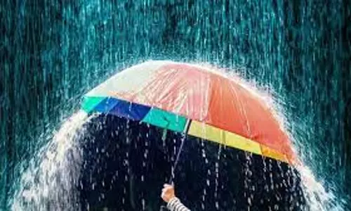 சோளிங்கரில் மழை சோளிங்கரில் மழை