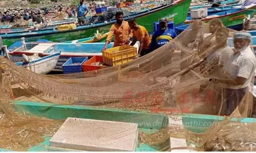 நெத்திலி மீன் விலை தொடர்ந்து வீழ்ச்சி நெத்திலி மீன் விலை தொடர்ந்து வீழ்ச்சி