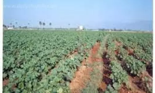 40 விவசாயிகளுக்கு புதுக்கோட்டை ஆராய்ச்சி நிலையத்தில் பயிற்சி