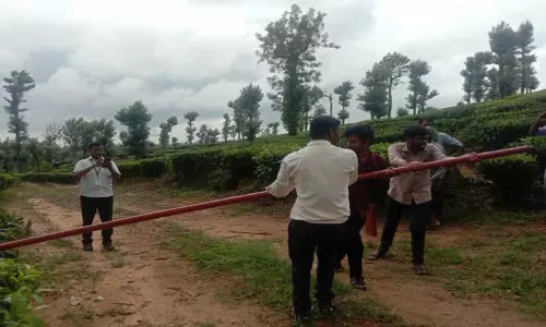 சாலையின் குறுக்கே அமைக்கப்பட்ட 3 தடுப்பு கம்பிகள் அகற்றம்