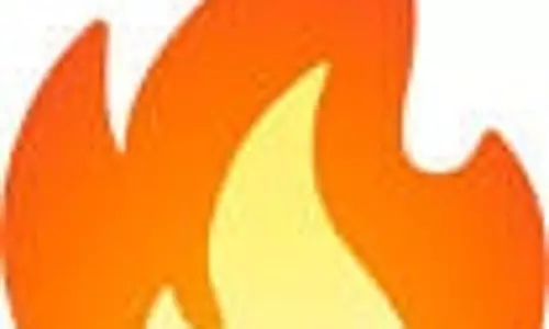 மண்டைக்காடு பகவதி அம்மன் கோவில் மரத்தில் தீ பிடித்ததால் பரபரப்பு