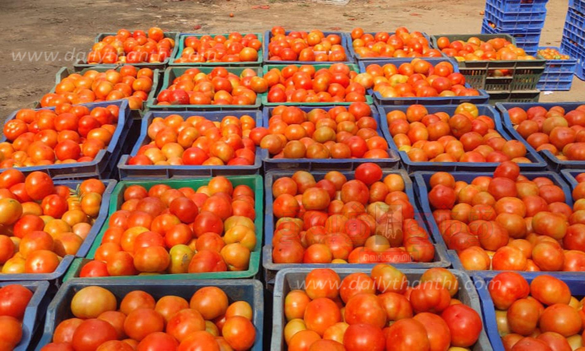 The price of tomatoes has been rising steadily தக்காளி விலை கிடு கிடு