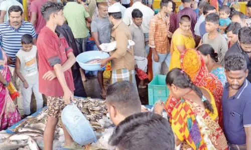 திருப்பூர் பல்லடம் ரோடு தென்னம்பாளையம் மார்க்கெட்டில் நேற்று மக்கள் கூட்டம் அதிக அளவில் இருந்தது. ஒரே நாளில் சுமார் 50 டன் மீன் விற்பனையாகியது.