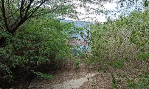 புதர்மண்டிக்கிடக்கும் சுகாதார வளாகம்