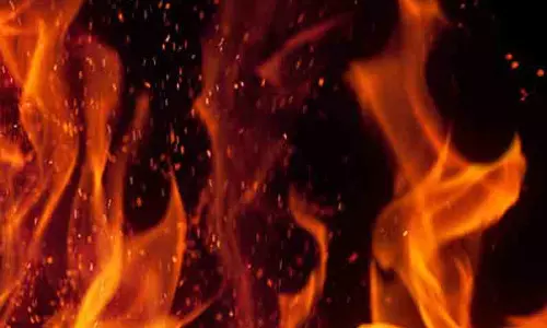 வைக்கோல் படப்பு தீயில் எரிந்து சேதம்