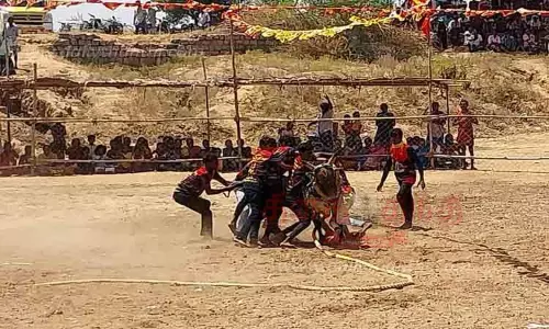 மேலதூவல் கிராமத்தில் வடமாடு மஞ்சுவிரட்டு போட்டி மேலதூவல் கிராமத்தில் வடமாடு மஞ்சுவிரட்டு போட்டி